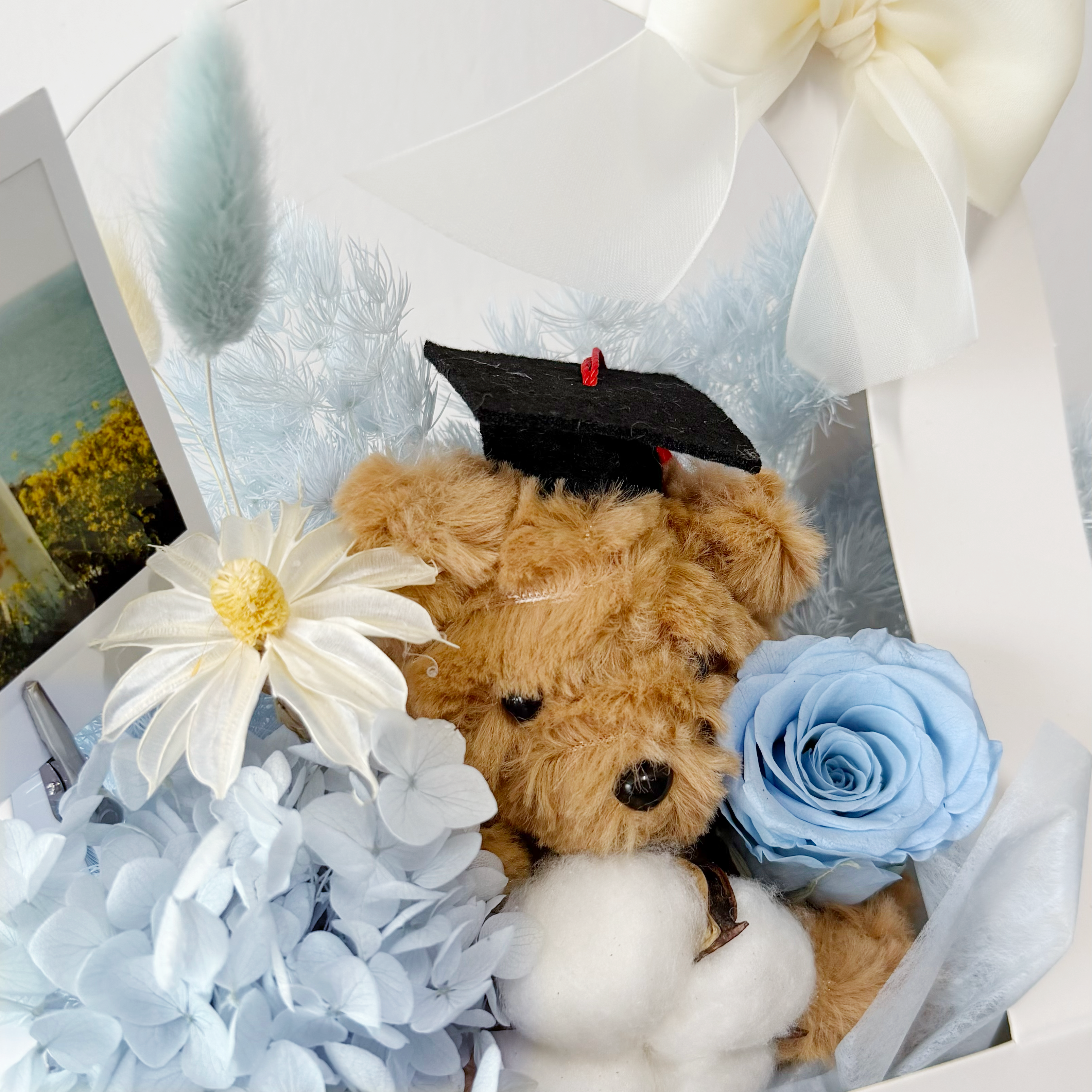 Graduation bear Blue Bloom Box (Preserved)