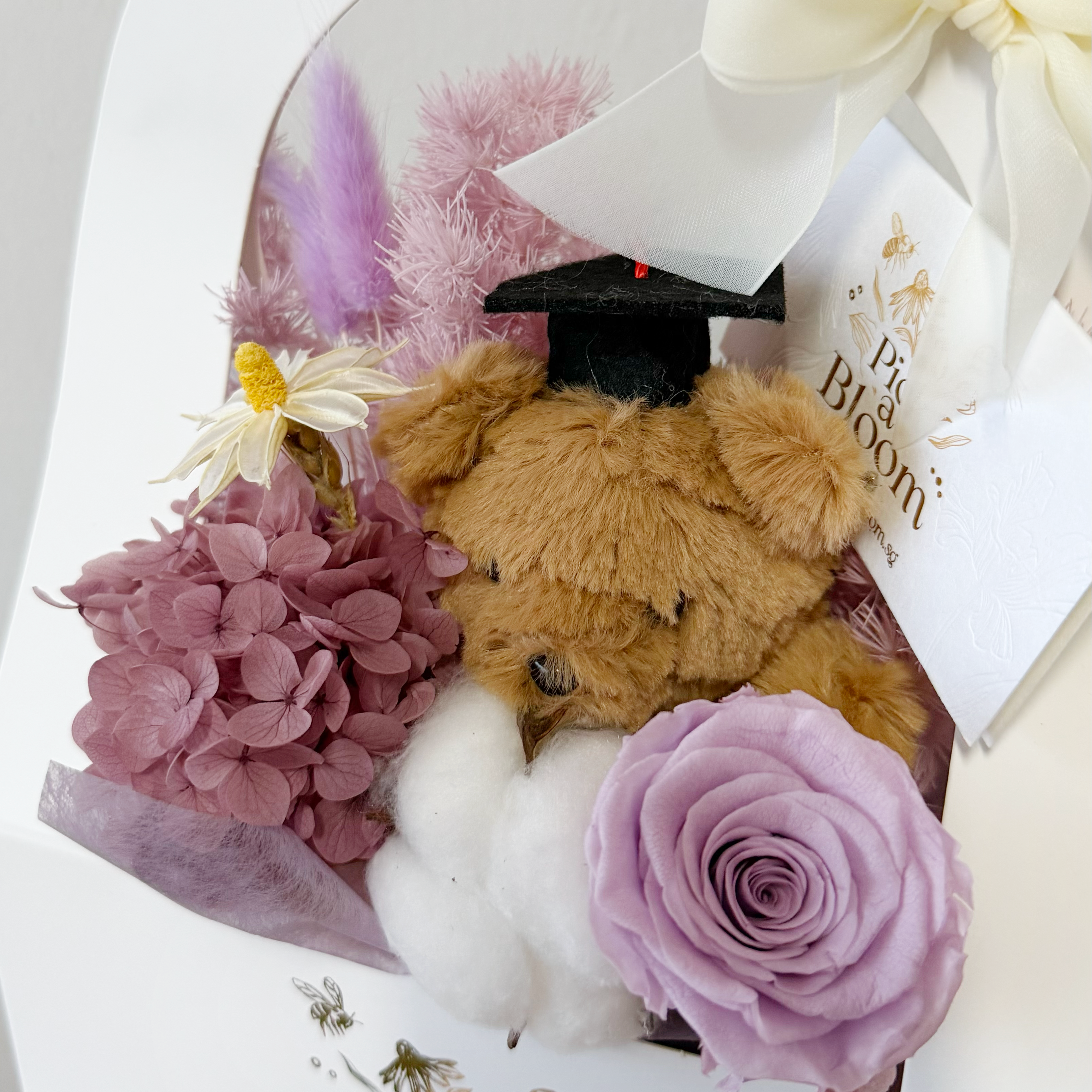 Graduation bear Purple Bloom Box (Preserved)