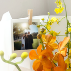 Graduation Bear Sunflower Bouquet (Fresh)