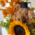 Graduation Bear Bloom Box (Fresh)